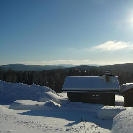 Panoramaboende Torsby Kültér fotó