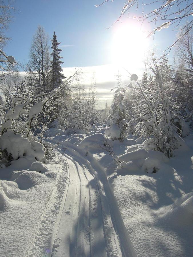 Panoramaboende Torsby Kültér fotó